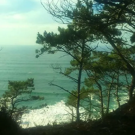 Mountain And Sea Daire *